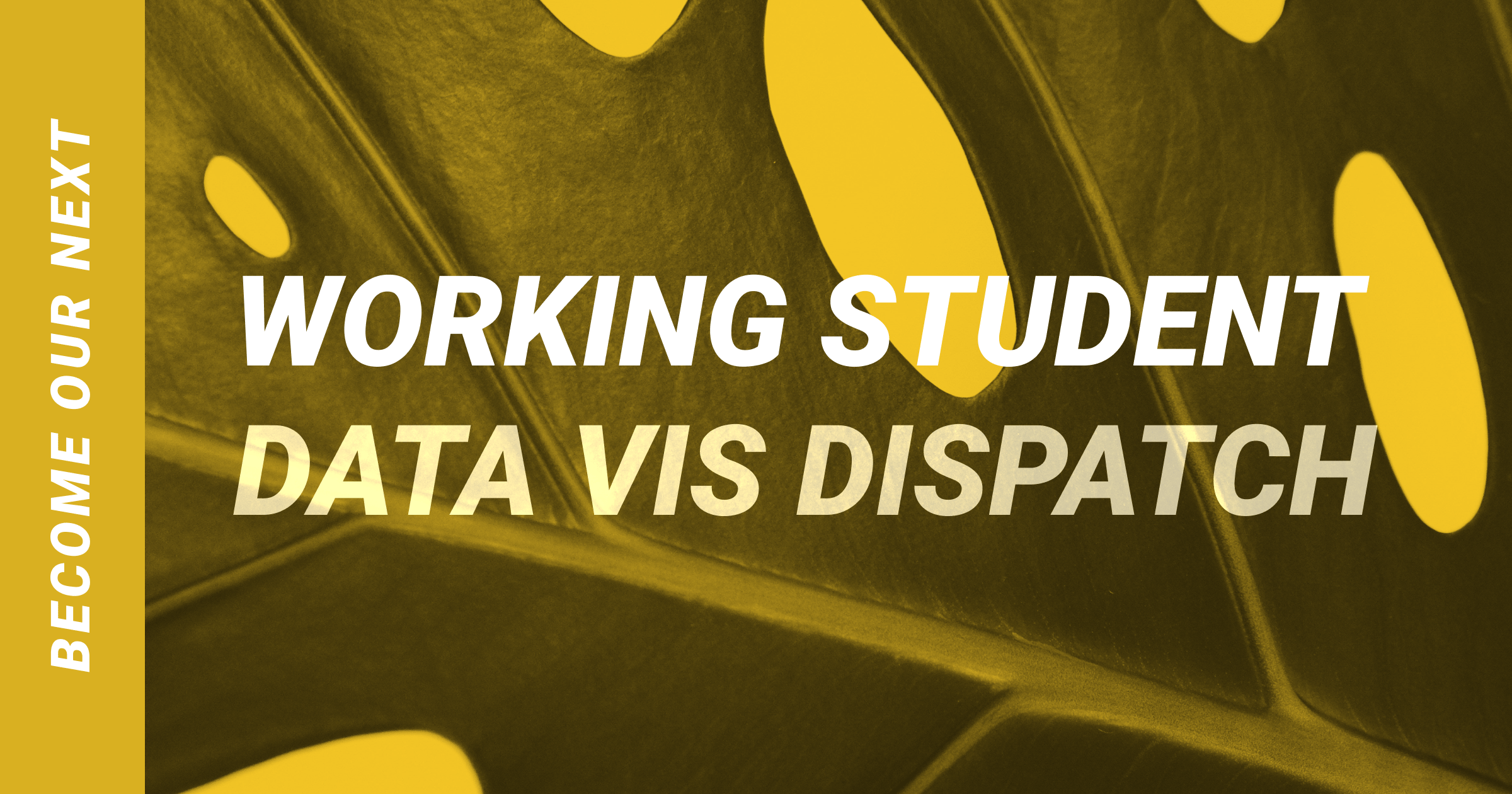 Image for We're hiring a working student to curate the Data Vis Dispatch