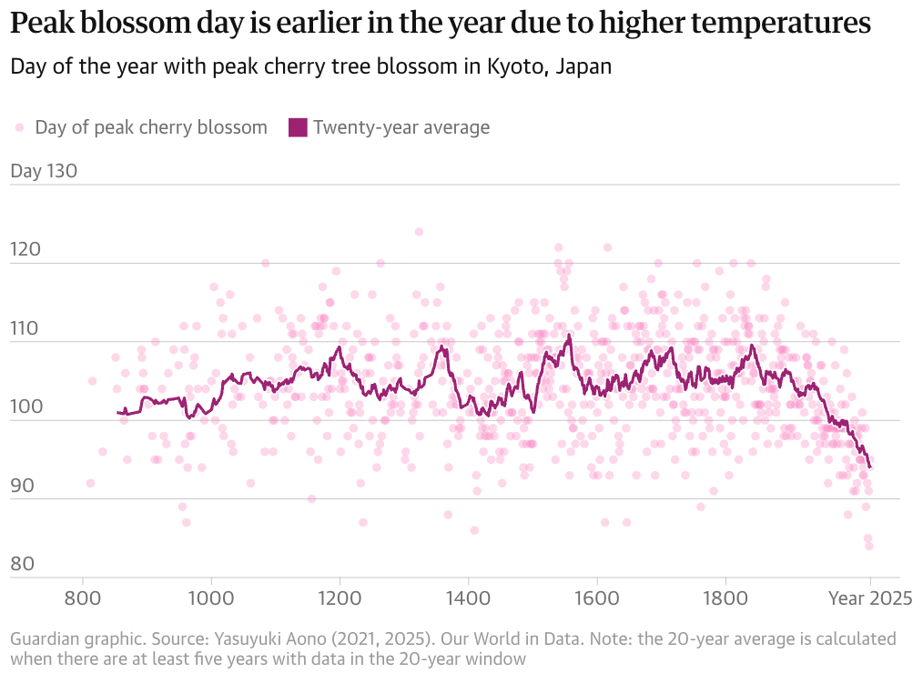 The Guardian: <a href="https://www.theguardian.com/world/2026/apr/15/cherry-blossom-1200-years-japan-climate-scientist-yasuyuki-aono?CMP=oth_b-aplnews_d-5"><strong>After 1,200 years, cherry blossom record to live on despite Japanese scientist’s death</strong></a>, April 15