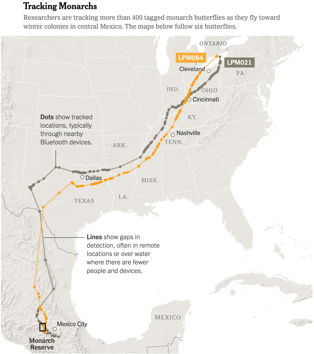 The New York Times: <a href="https://www.nytimes.com/2025/11/17/science/monarch-butterfly-migration-tracking-sensor.html"><strong>We Can Now Track Individual Monarch Butterflies. It’s a Revelation</strong></a>, November 17