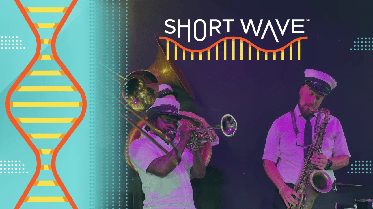 NPR: <a href="https://www.npr.org/2025/08/26/nx-s1-5507128/hear-new-orleans-rising-temperatures-in-music"><strong>Hear New Orleans' rising temperatures in music</strong></a>, August 26