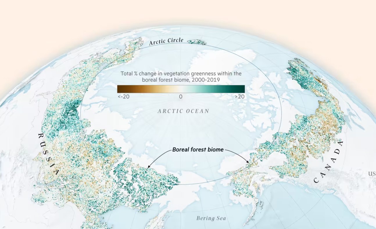 Financial Times: <strong><a href="https://www.ft.com/content/e59c800f-3704-4504-91b0-06e583d9cd42">The ancient subarctic forests at risk from climate change and war</a></strong>, September 11