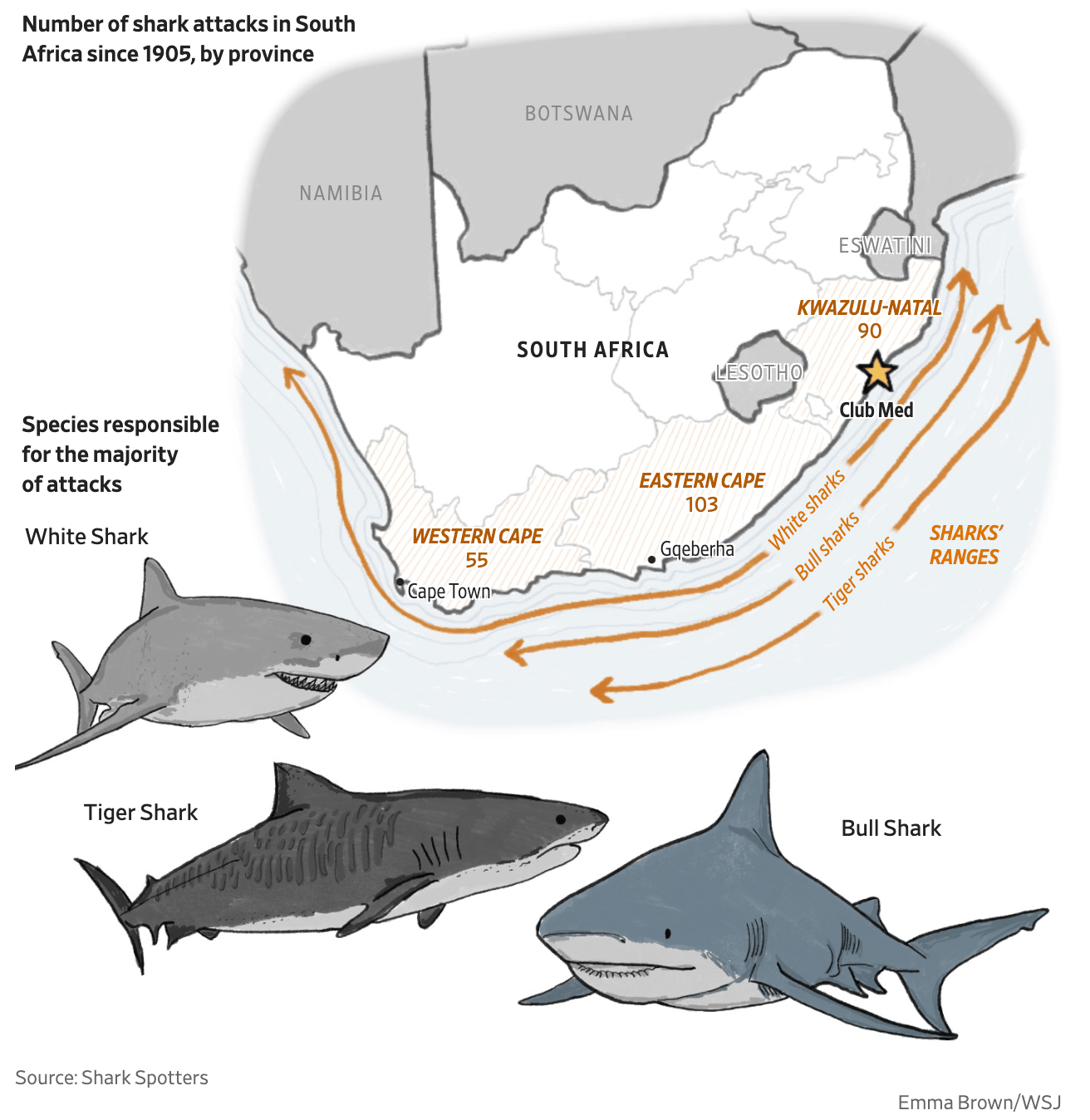 The Wall Street Journal: <a href="https://www.wsj.com/lifestyle/travel/nobody-can-agree-how-to-keep-the-sharks-out-of-south-africas-new-club-med-bee4c32f?mod=e2twg"><strong>Nobody Can Agree How to Keep the Sharks Out of South Africa’s New Club Med</strong></a>, May 30
