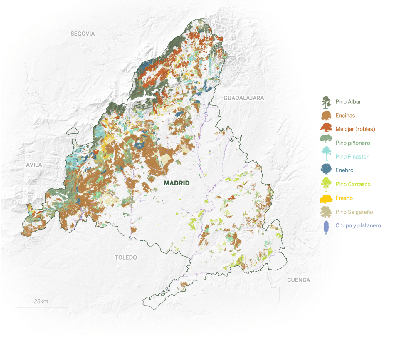 El País: <a href="https://elpais.com/espana/madrid/2021-08-01/los-bosques-de-madrid-desde-el-pinar-de-alta-montana-a-la-dehesa-mediterranea-sin-salir-de-la-comunidad.html"><strong>Los bosques de Madrid: desde el pinar de alta montaña a la dehesa mediterránea sin salir de la comunidad</strong></a>, August 1