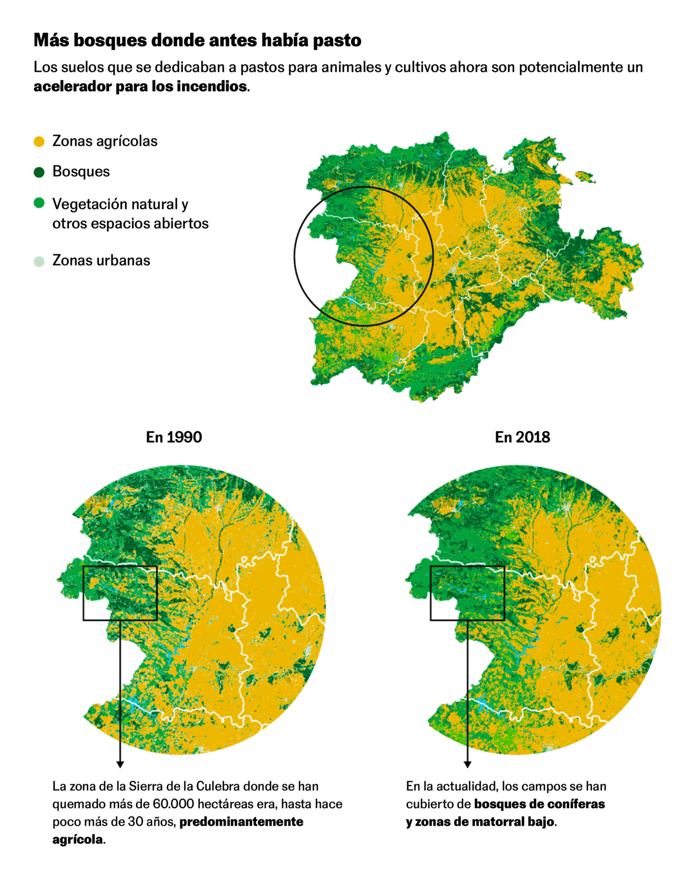 El País: <a href="https://elpais.com/clima-y-medio-ambiente/2022-07-30/autopsia-de-los-incendios-salvajes-de-zamora-medios-insuficientes-falta-de-prevision-y-bulos-contra-los-ecologistas.html"><strong>Autopsia de los incendios salvajes de Zamora: medios insuficientes, falta de previsión y bulos contra los ecologistas</strong></a>, July 30