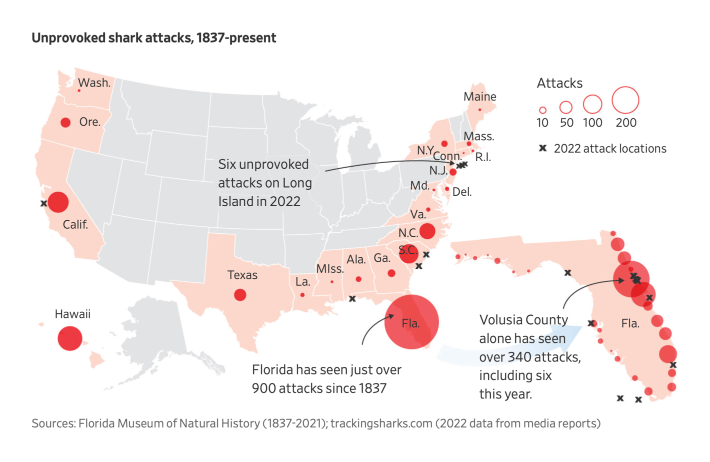 The Wall Street Journal: <a href="https://www.wsj.com/articles/shark-attacks-u-s-2022-total-11659383437?st=76rnknkpyodkbdd"><strong>Shark Attacks in U.S. Total 28 So Far This Year</strong></a>, August 2