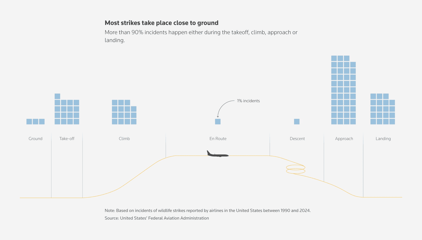 Reuters: <a href="https://www.reuters.com/graphics/SOUTHKOREA-CRASH/BIRDSTRIKES/egpbjdamxpq/"><strong>Bird strikes are a serious challenge for aviation</strong></a>, January 29 <span class="badge">Illustrated visual story</span>