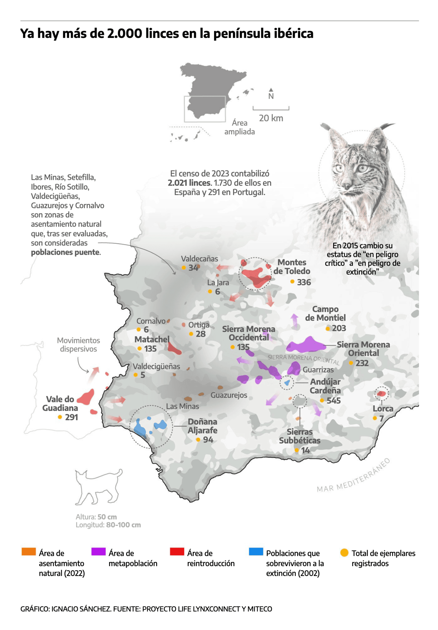 elDiario.es: <strong><a href="https://www.eldiario.es/sociedad/lince-sale-decadas-categoria-peligro-extincion_1_11461944.html">El lince sale tras dos décadas de la categoría de especie “en peligro de extinción”</a></strong>, June 20<br>