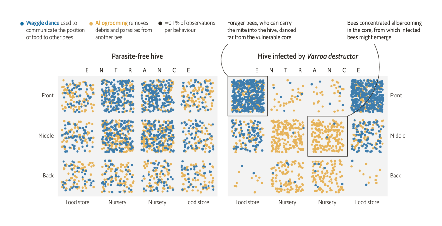 The Economist: <strong><a href="https://www.economist.com/graphic-detail/2021/11/27/just-like-modern-humans-honeybees-avoid-each-other-amid-plagues">Social distan-sting: Just like modern humans, honeybees avoid each other amid plagues</a></strong>, November 27