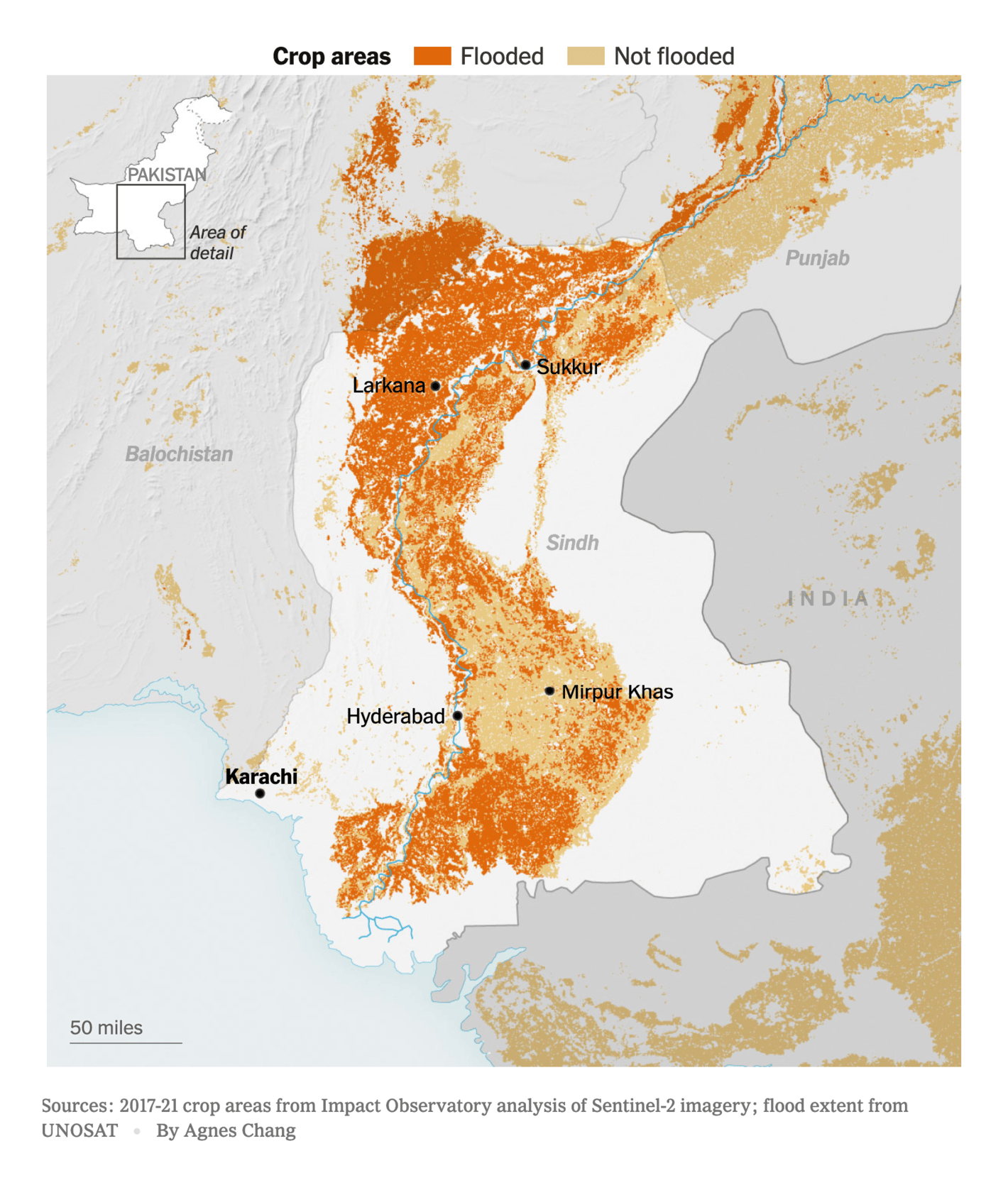 The New York Times: <strong><a href="https://www.nytimes.com/2022/09/11/world/asia/pakistan-floods-food-crisis.html">‘Very Dire’: Devastated by Floods, Pakistan Faces Looming Food Crisis</a></strong>, September 11