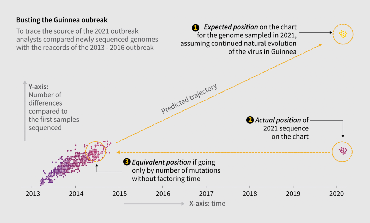 Agence France-Presse: "Ebola virus in survivors can trigger outbreaks years after infection. #AFPgraphics chart to explain why scientists believe a latent Ebola virus in a symptom-free survivor of an earlier outbreak may have become reactivated," September 16 (<strong><a href="https://twitter.com/AFP/status/1438359226108166156/photo/1">Tweet</a></strong>)