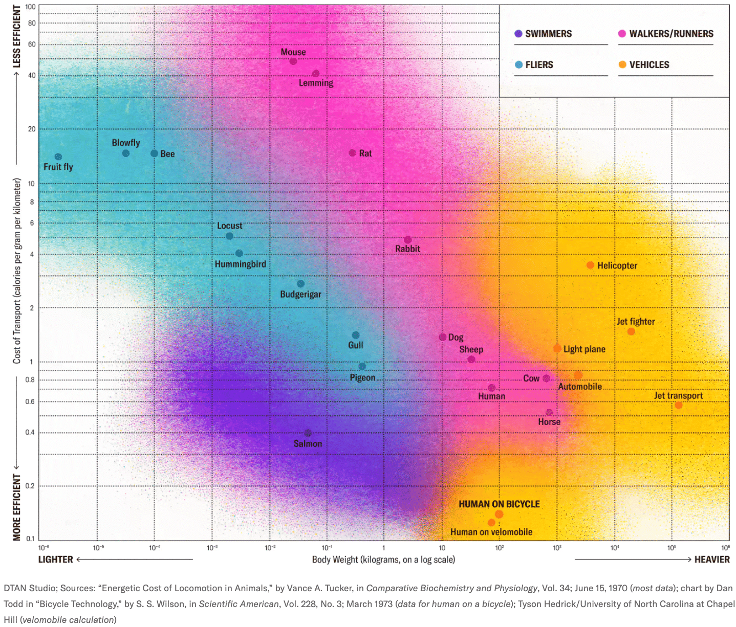 Scientific American: <a href="https://www.scientificamerican.com/article/a-human-on-a-bicycle-is-among-the-most-efficient-forms-of-travel-in-the/"><strong>A Classic Graphic Reveals Nature’s Most Efficient Traveler</strong></a>, October 14