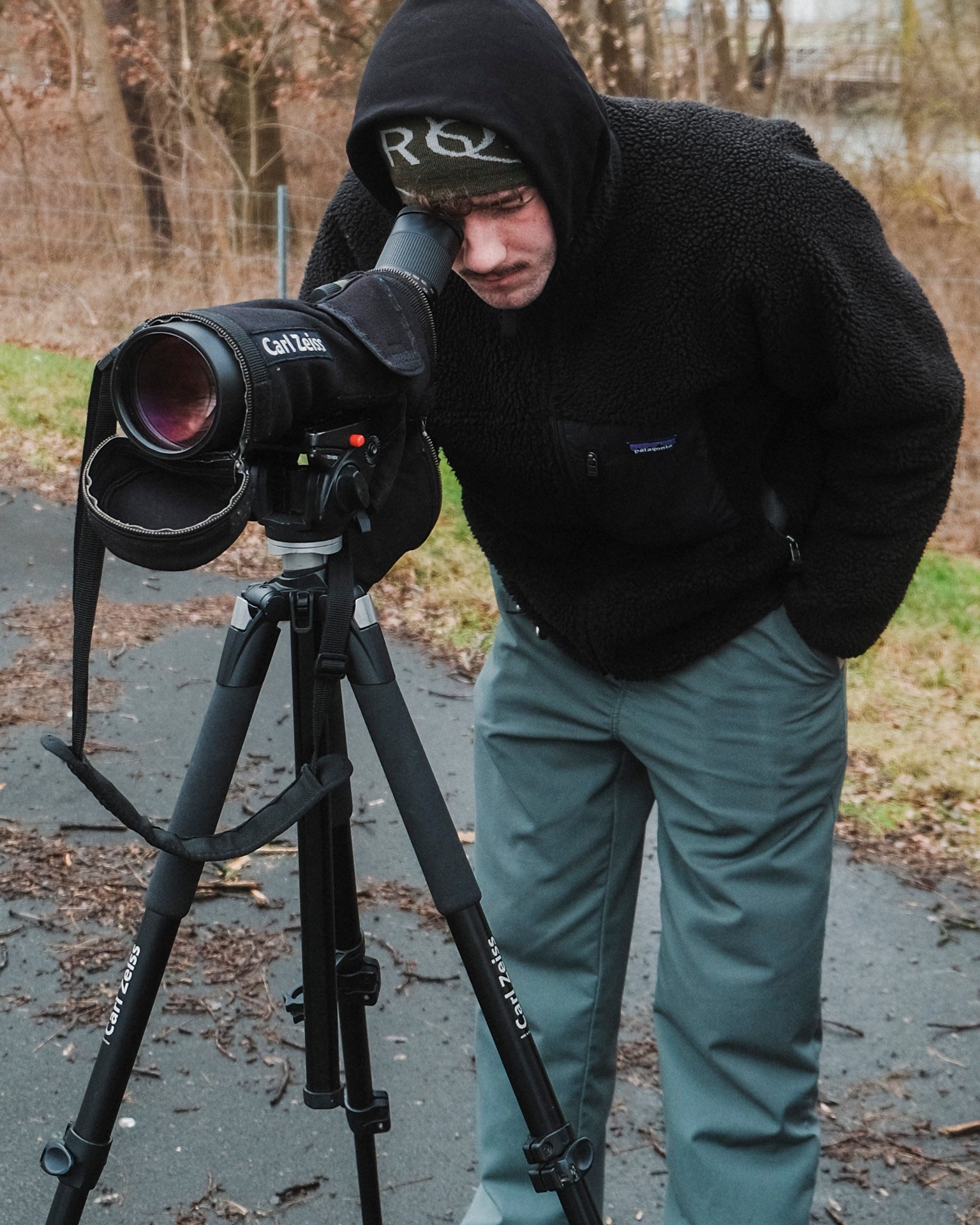 Observing elusive whooper swans in the Lower Oder Delta.