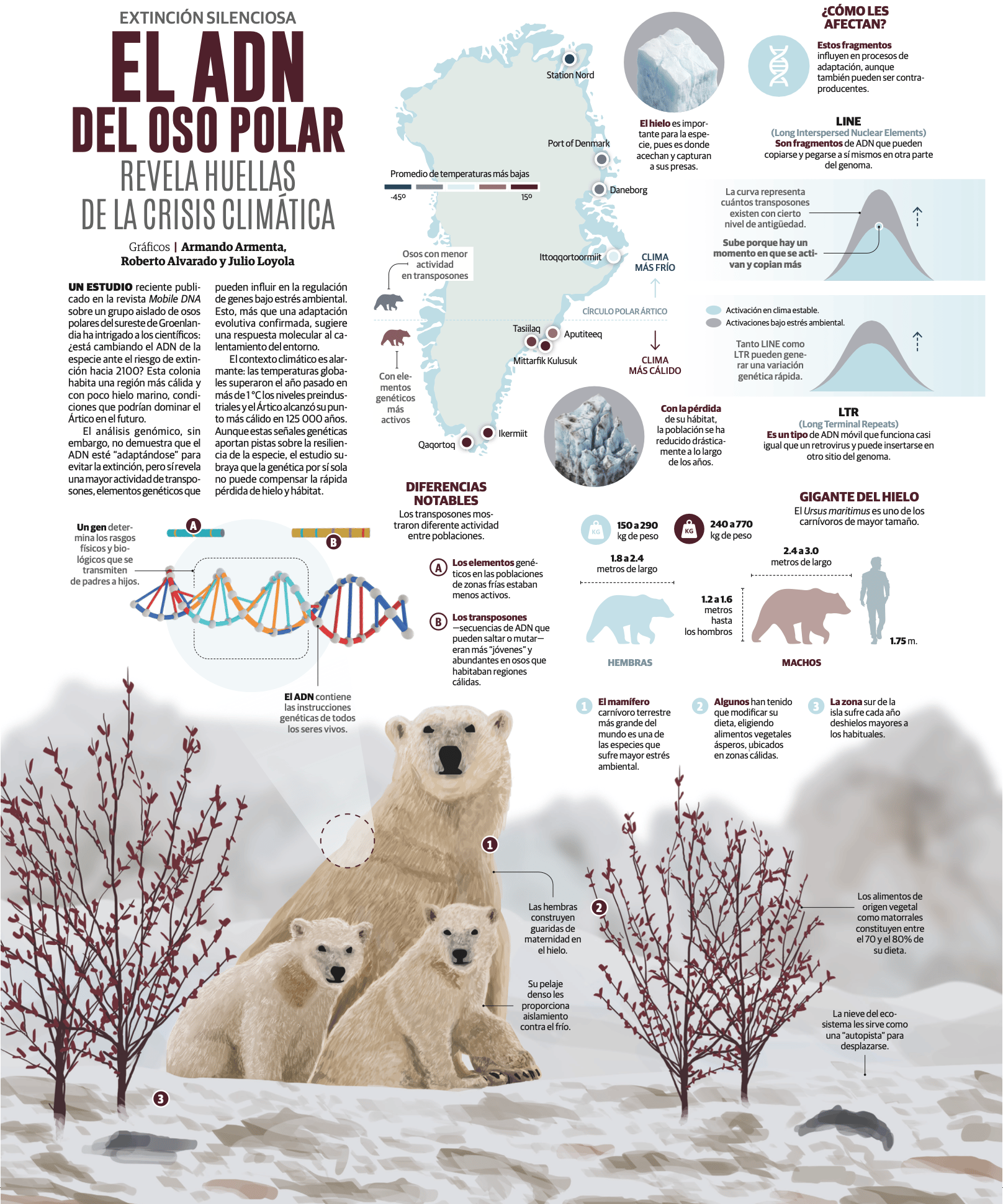 La Rázon: <a href="https://www.razon.com.mx/infografias/2026/01/13/el-adn-del-oso-polar-revela-huellas-de-la-crisis-climatica/"><strong>El ADN del oso polar revela huellas de la crisis climática</strong></a><strong> </strong>[<em>Polar bear DNA reveals traces of the climate crisis</em>], January 13