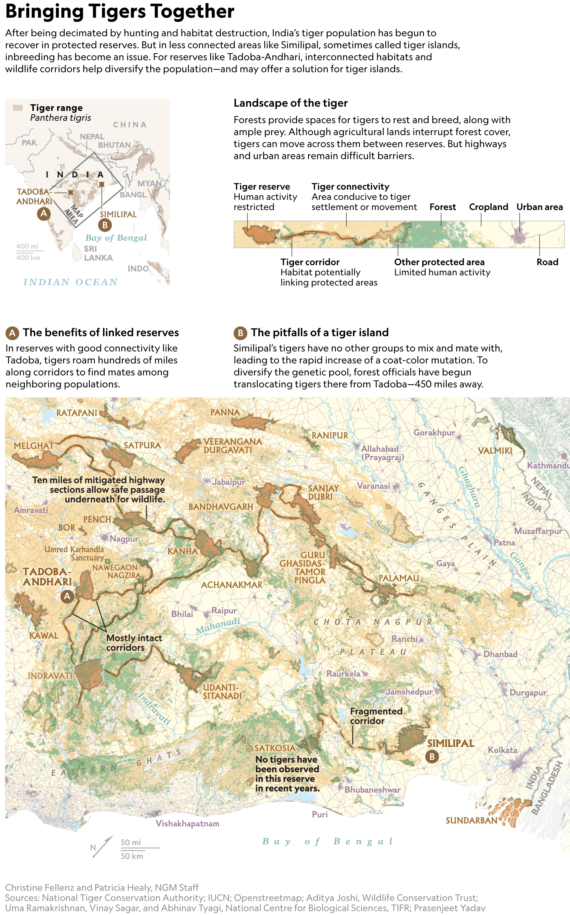 The Weekly Anthropocene: <a href="https://sammatey.substack.com/p/the-weekly-anthropocene-september-aa3"><strong>The curious case of the tigers who changed their stripes</strong></a>, September 24 (<a href="https://www.nationalgeographic.com/animals/article/similipal-black-tiger-genetic-mutation?utm_source=substack&amp;utm_medium=email"><strong>National Geographic</strong></a>)
