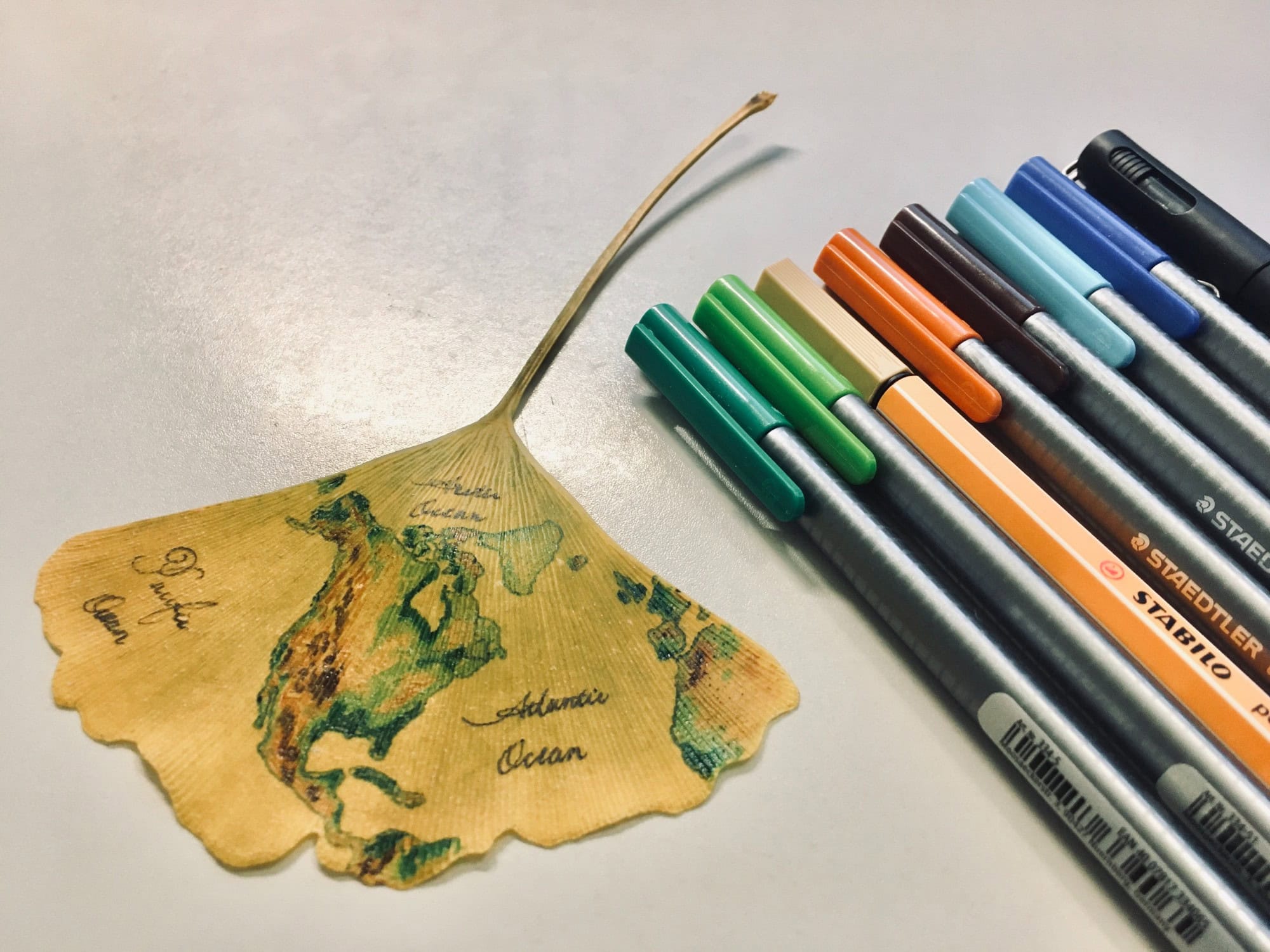 Atlas Guo: "#Day 26 (Map Projection) - Continued: Since I already got fan-shape #ginkgo leaves, why not make a conic projection map, which naturally has a fan shape? Here comes a topographic map of North America, using Albers equal area projection," November 28 (<strong><a href="https://bsky.app/profile/cartoguophy.bsky.social/post/3lby74c7d5k2h">Bluesky</a></strong>)