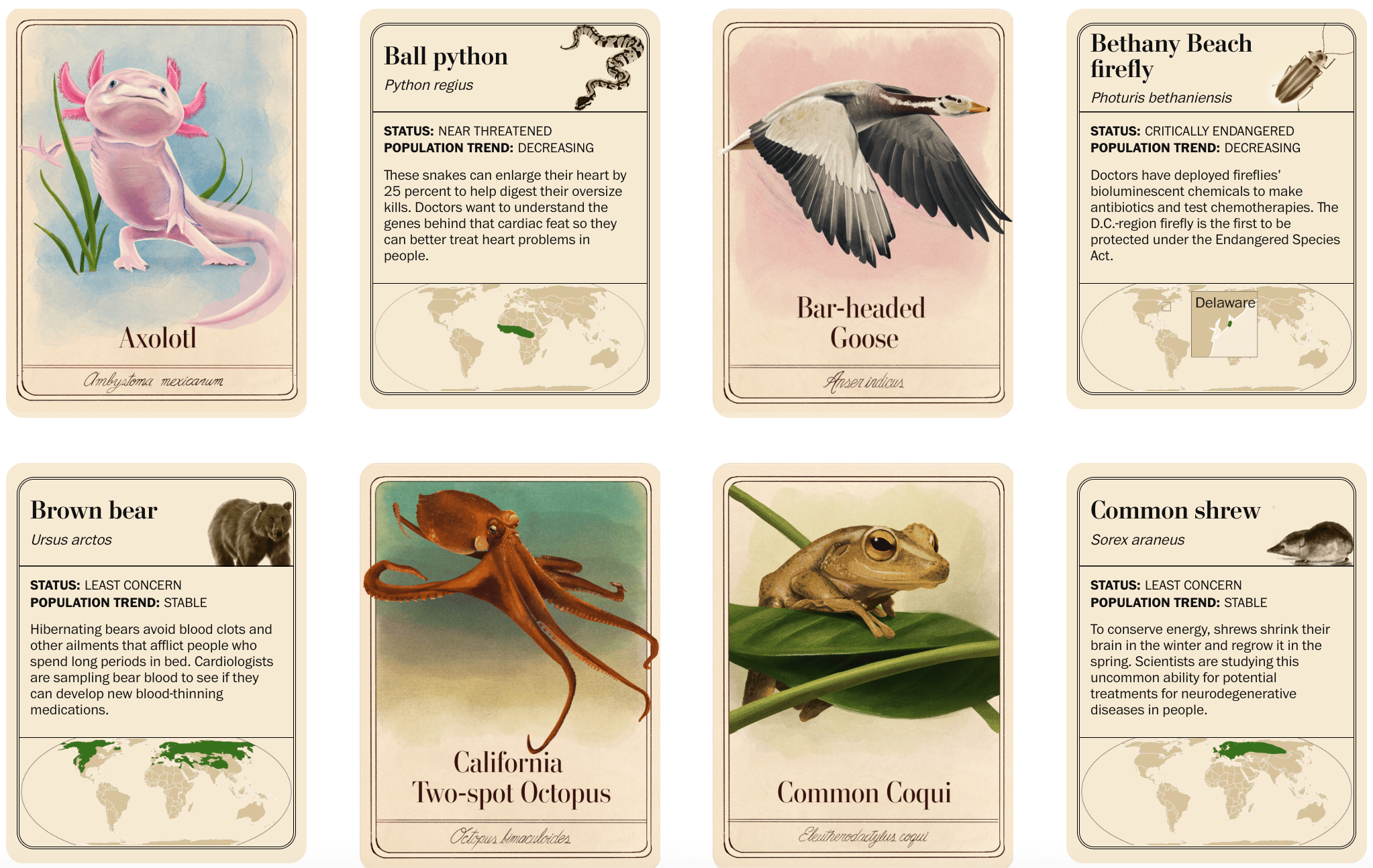 The Washington Post: <a href="https://www.washingtonpost.com/climate-environment/interactive/2025/how-animals-plants-help-people-health/"><strong>50 species that save us</strong></a>, November 14