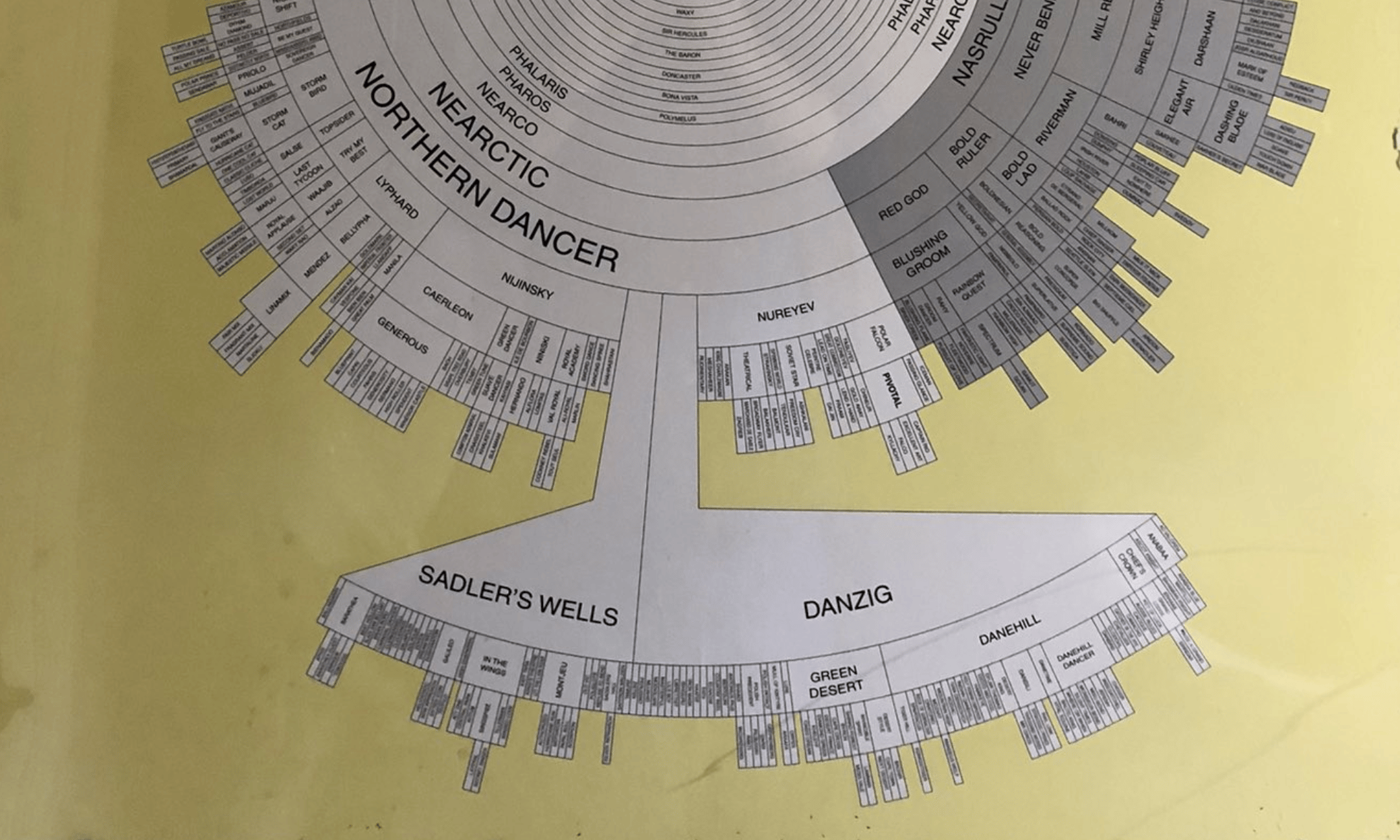 Tobias Sturt: "Amazing piece of horse breeding data viz in this hotel gents, including an inception inclusion of the only race horse I know of with an isotype name: Potoooooooo (pot-eight-o’s)", September 4 (<strong><a href="https://twitter.com/skelington/status/1566371661124870145">Tweet</a></strong>)