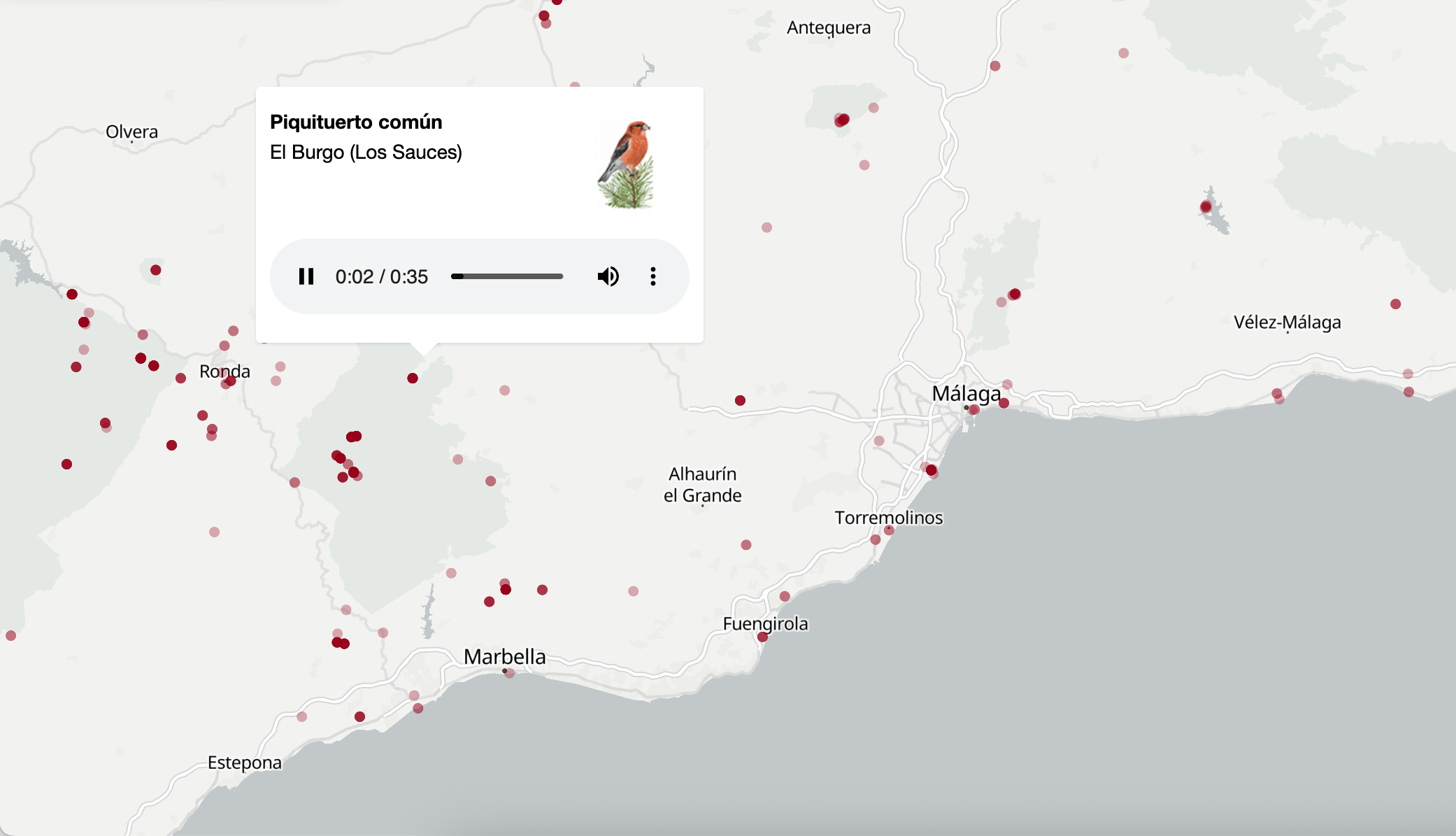 SUR: <a href="https://www.surinenglish.com/lifestyle/this-how-malaga-sings-the-sound-map-20251017125854-nt.html"><strong>An audio guide to birdsong in Malaga province</strong></a>, October 24