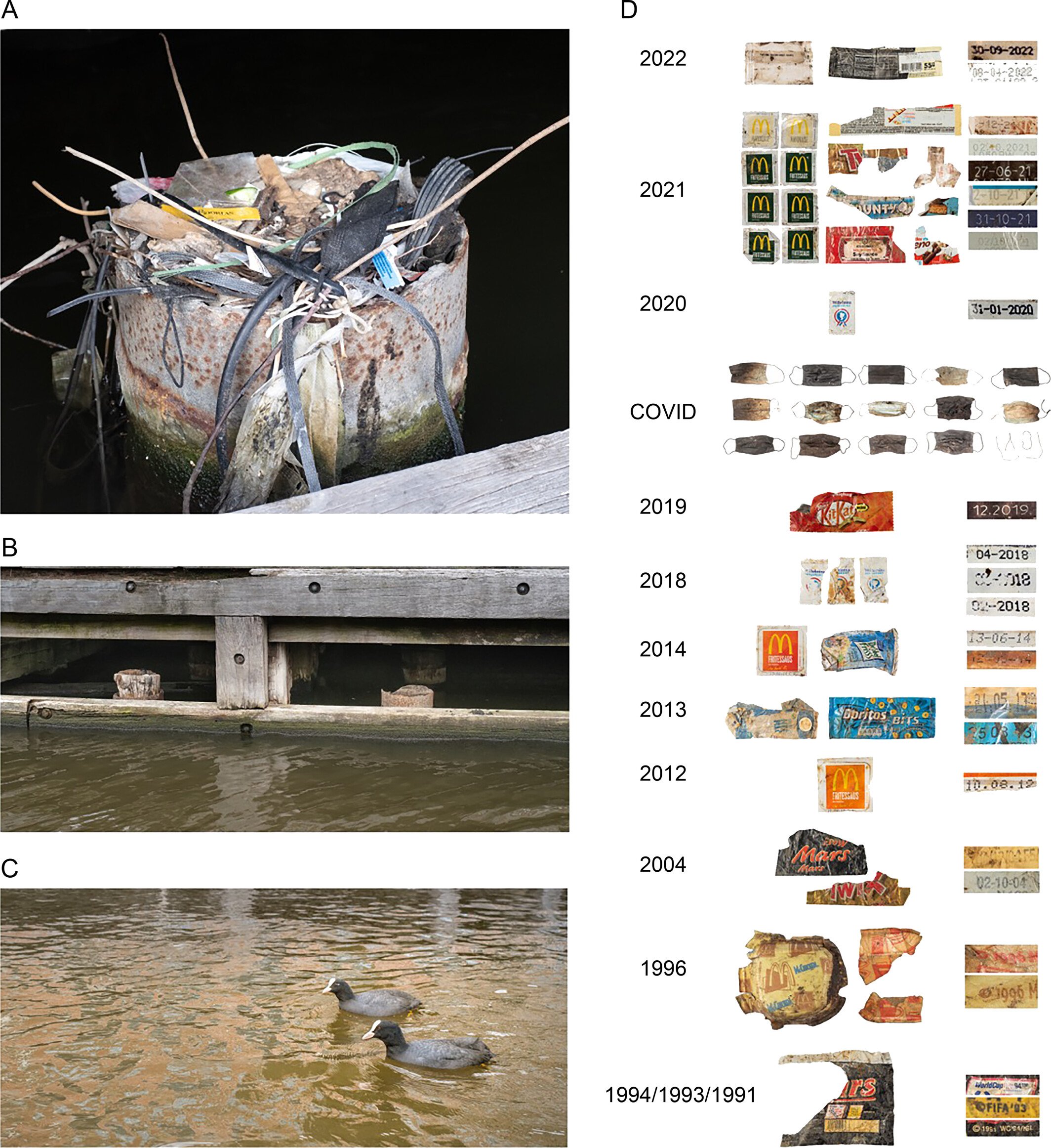 Auke-Floria: "JUST OUT! Time capsule birds' nests! I'm proud to share our discovery of layers of vintage plastic in urban birds’ nests... going back decades in time [...]," February 28 (<a href="https://bsky.app/profile/aukeflorian.nl/post/3ljaan3pdds2z"><strong>Bluesky</strong></a>)