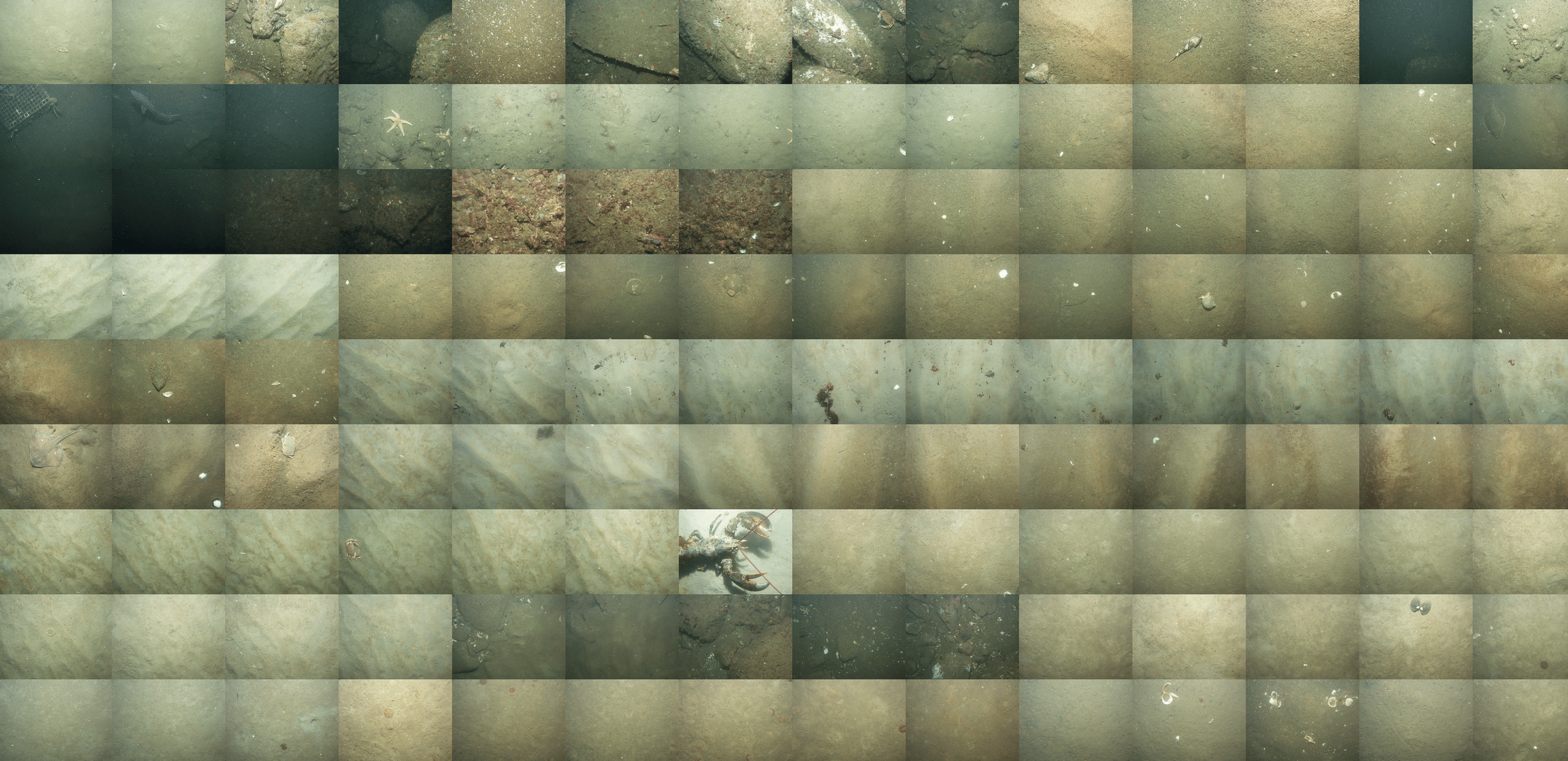Beautiful Public Data: <strong><a href="https://www.beautifulpublicdata.com/mapping-the-sea-floor/">Mapping the Sea Floor</a></strong>, December 29
