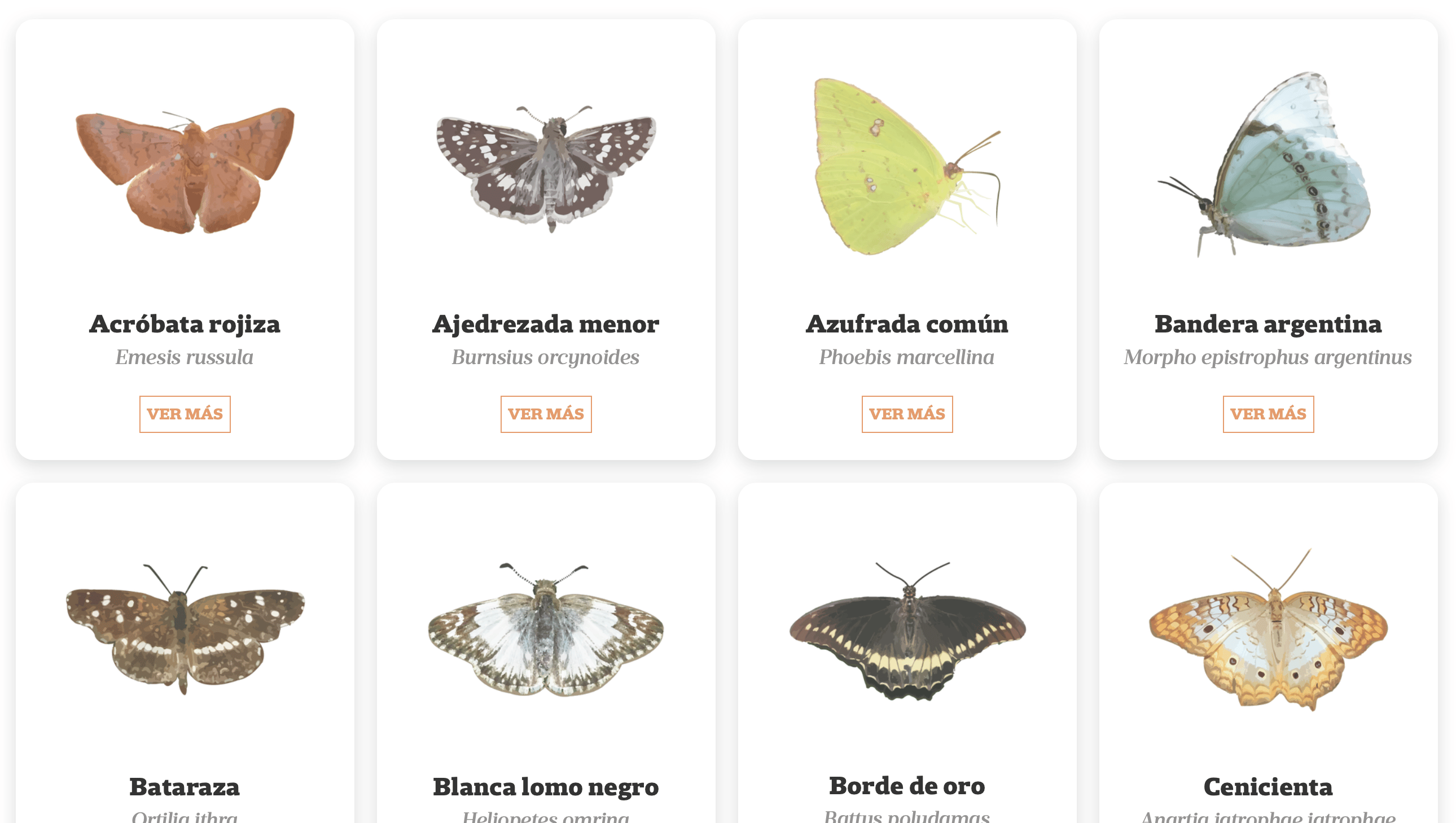 La Nación: <strong><a href="https://www.lanacion.com.ar/sociedad/pequena-guia-de-mariposas-y-plantas-nativas-de-buenos-aires-nid08042022/#card-respuestas-2">Pequeña guía de&nbsp;mariposas y plantas nativas de Buenos Aires</a></strong>, April 8