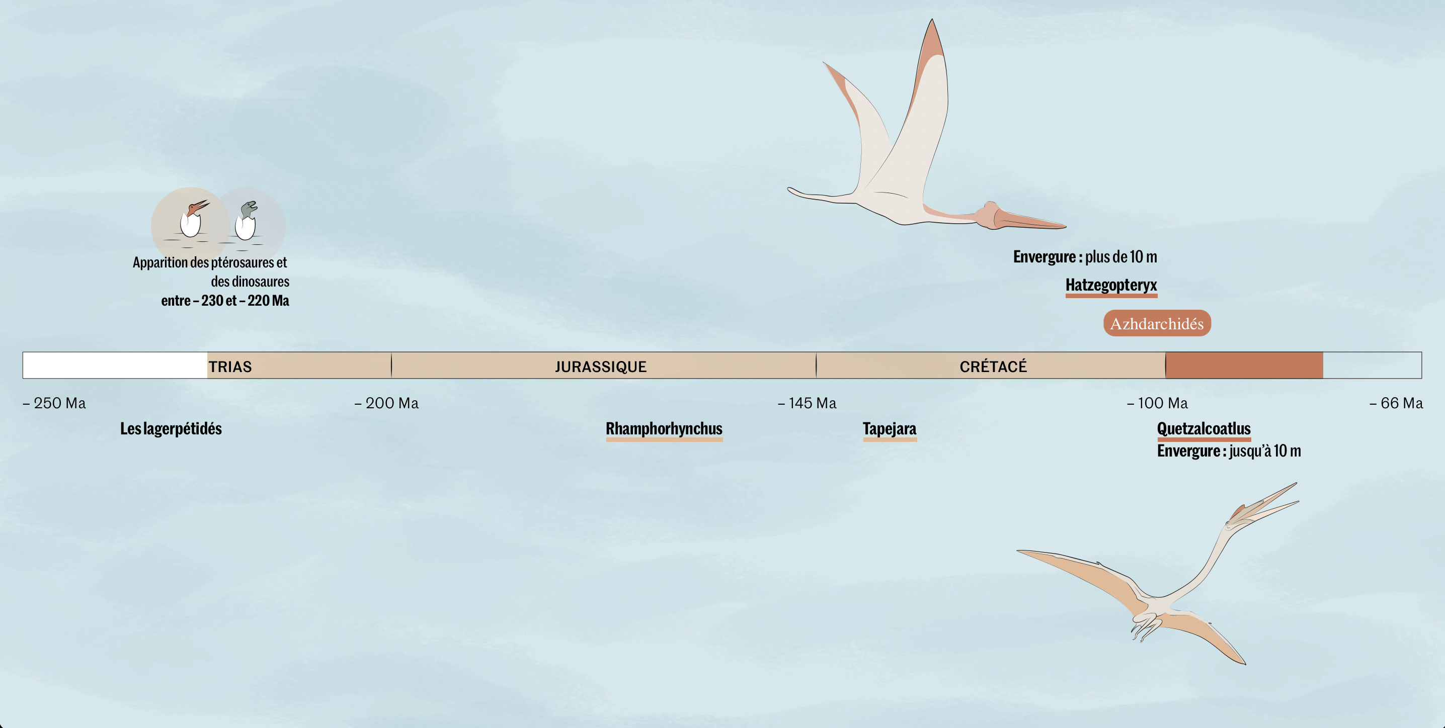 Le Monde: <strong><a href="https://www.lemonde.fr/sciences/visuel/2022/04/04/l-essor-du-quetzalcoatlus-geant-des-airs_6120477_1650684.html">«&nbsp;Quetzalcoatlus&nbsp;» : Géant des airs</a></strong>, April 5
