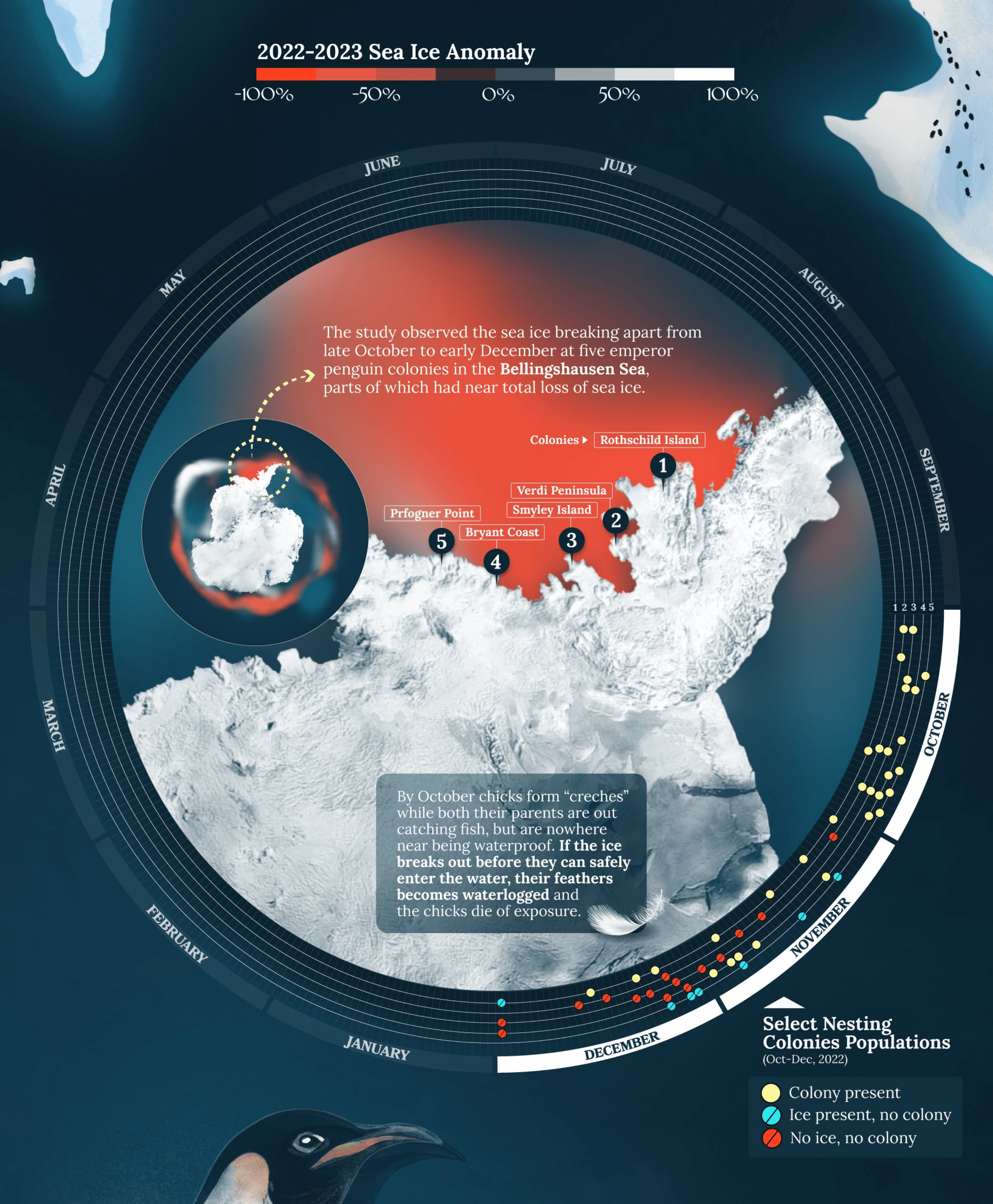 Planet Anomaly: <strong><a href="https://www.planetanomaly.org/thecollapseofpenguincolonies">The Collapse of Penguin Colonies in Antarctica</a></strong>, November 26