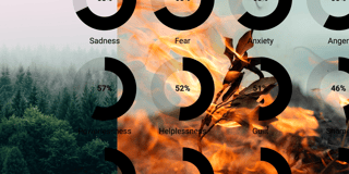 The climate crisis inside our heads