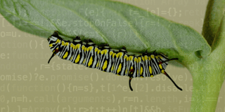 Is it a bug or a feature?