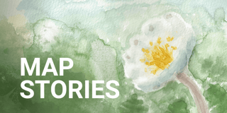 How a flower became the main character of the late Pleistocene