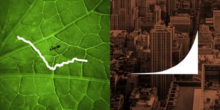By 2037, human-made materials will outweigh all living things on Earth