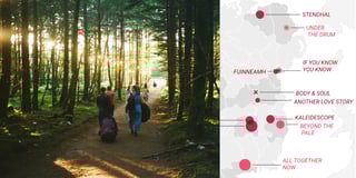 Music festivals, IRL