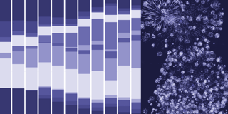Which chart types did our users create in 2023?