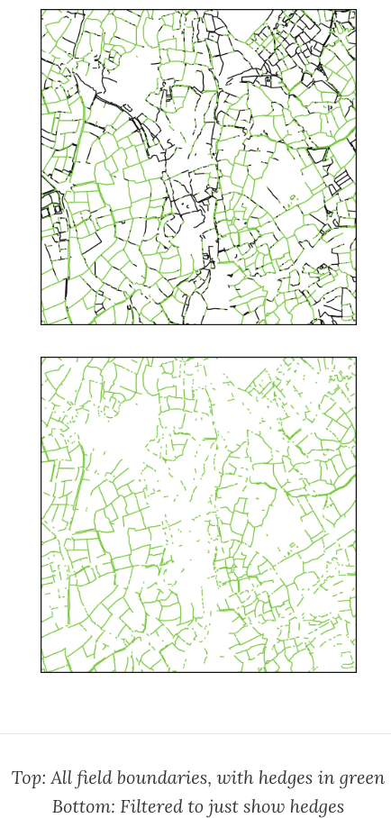 The Economist: <a href="https://theeconomistoffthecharts.substack.com/p/mapping-britains-hedgerows"><strong>Mapping Britain’s hedgerows</strong></a>, March 25