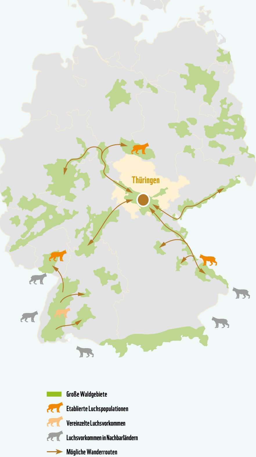Das WWF Magazin 01/2026: Wieder da [<em>Chart description: Support for the lynx population in Thuringia</em>], January 14 (<a href="https://www.wwf.de/fileadmin/fm-wwf/Publikationen-PDF/WWF_Magazin/WWF-Magazin-01-2026-Wiederansiedlung.pdf?_gl=1*1tt8x3p*_up*MQ..*_gs*MQ..&amp;gclid=Cj0KCQiA5abIBhCaARIsAM3-zFXRQ7BH48yCoYVG6XMLe_YFRXn1xw4jbivubB2V5MdHwLLJyQknhhEaAhOHEALw_wcB&amp;gbraid=0AAAAADgffw7BWp8uL-NvOBu9SiW8gGZYp"><strong>magazine preview</strong></a>)
