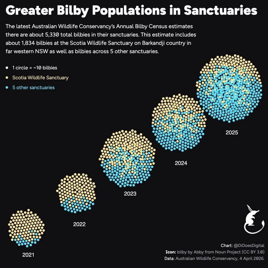 DiDoesDigital: "Sanctuaries help protect bilbies from cats and foxes, giving the vulnerable marsupial a chance to survive. And it's working!," April 4 (<a href="https://bsky.app/profile/didoesdigital.com/post/3mio533zbqk24"><strong>Bluesky</strong></a>)