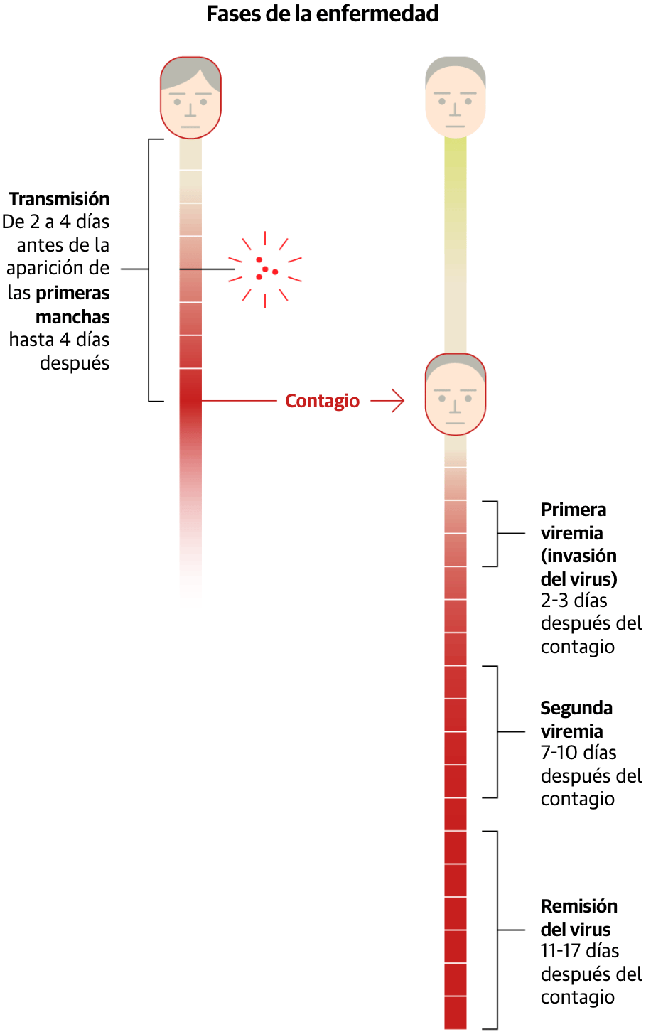 Diario Sur: <a href="https://www.diariosur.es/sociedad/salud/sarampion-sintomas-como-contagia-andalucia-20250403202550-nt.html"><strong>Sarampión: síntomas, cómo se transmite y situación actual en Andalucía</strong></a><strong> </strong>[<em>Measles: symptoms, transmission, and current situation in Andalusia</em>], April 4