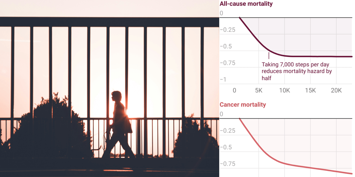 The most important steps to a longer life | Datawrapper Blog